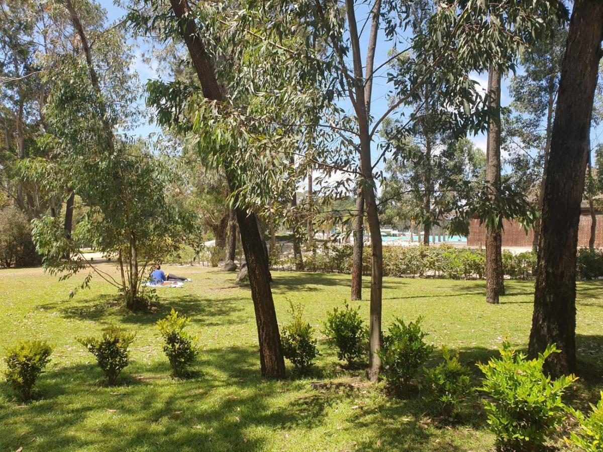 Punta Del Este, Forest Lagoon, Luxury Exterior foto
